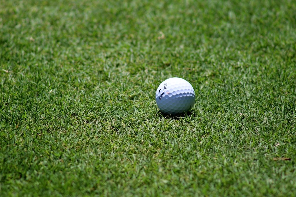 The golf course, looking down the fairway
